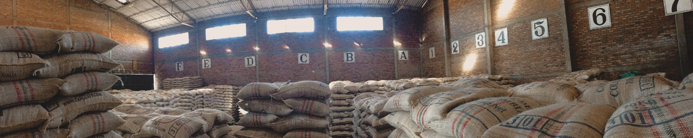 Many bags of coffee in sacks stacked in a warehouse.